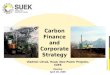 Carbon Finance and Corporate Strategy