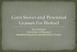Corn Stover and Perennial Grasses For  Biofuel