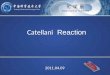 Catellani   Reaction