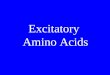 Excitatory  Amino Acids