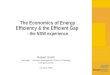 The Economics of Energy Efficiency & the Efficient Gap - the NSW experience