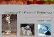 Lecture 7 – Parental Behaviour
