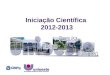 Iniciação Científica  2012-2013
