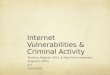Internet Vulnerabilities & Criminal Activity