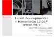 Latest developments in Hamamatsu Large Format PMTs