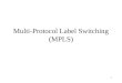 Multi-Protocol Label Switching (MPLS)