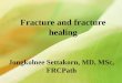 Fracture and fracture healing