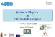 Hadronic Physics  at Intermediate Energies