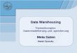 Data Warehousing Themenkomplex:  Datenmodellierung und -speicherung Meta Daten Marek Opuszko