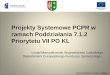 Projekty Systemowe PCPR w ramach Poddziałania 7.1.2 Priorytetu VII PO KL