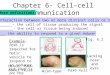 Chapter 6- Cell-cell communication