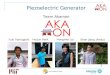 Piezoelectric Generator Team Akamon