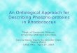 An Ontological Approach for Describing Phospho-proteins in Rhodococcus