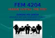 FEM 4204 HUMAN CAPITAL: THE FIRM