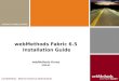 webMethods Fabric 6.5  Installation Guide