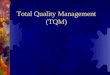 Total Quality Management  (TQM)