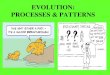 EVOLUTION: PROCESSES & PATTERNS