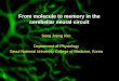 From molecule to memory in the cerebellar neural circuit