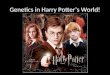 Genetics in Harry Potter’s World!