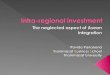 Intra-regional investment