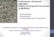 Performance of Exposed  Aggregate Surface  of Composite  Pavements at  MnROAD
