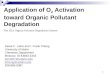 Application of O 2  Activation toward Organic Pollutant Degradation