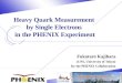 Heavy Quark Measurement  by Single Electrons  in the PHENIX Experiment