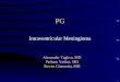 Intraventricular Meningioma