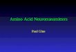 Amino Acid Neurotransmitters