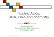 Nucleic Acids: DNA, RNA and chemistry