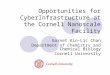 Opportunities for CyberInfrastructure at the Cornell Nanoscale Facility