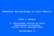 Mammalian Macroecology in Latin America