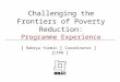 Challenging the Frontiers of Poverty Reduction: Programme Experience