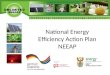 National Energy Efficiency Action Plan NEEAP
