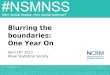 Blurring the boundaries:  One Year On April 16 th  2013 Royal Statistical Society