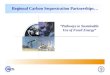Regional Carbon Sequestration Partnerships…