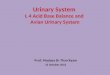 Urinary System  L 4 Acid Base Balance and  Avian Urinary System
