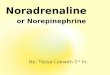 Noradrenaline or Norepinephrine