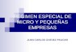 REGIMEN ESPECIAL DE MICRO Y PEQUEÑAS EMPRESAS