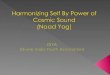 Harmonizing Self By Power of  Cosmic Sound ( Naad Yog )