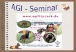 AGI - Seminar