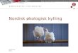 Nordisk ¸kologisk kylling