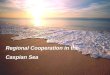 Regional Cooperation in the  Caspian Sea
