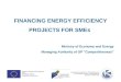 FINANCING ENERGY EFFICIENCY PROJECTS FOR SMEs  Ministry of Economy and Energy