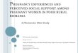 P REGNANCY EXPERIENCES AND PERCEIVED SOCIAL SUPPORT AMONG PREGNANT WOMEN IN POOR RURAL ROMANIA