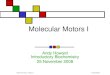 Molecular Motors I