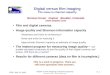 Digital versus film imaging The issue is channel capacity
