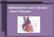 Inflammatory and Valvular Heart Diseases