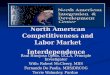 North American Competitiveness and Labor Market Interdependence