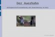 Der Auerhahn Gefangenschaftsvermehrung und Auswilderung im Harz